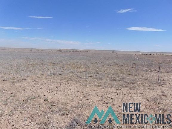 2nd image of Buena Vida