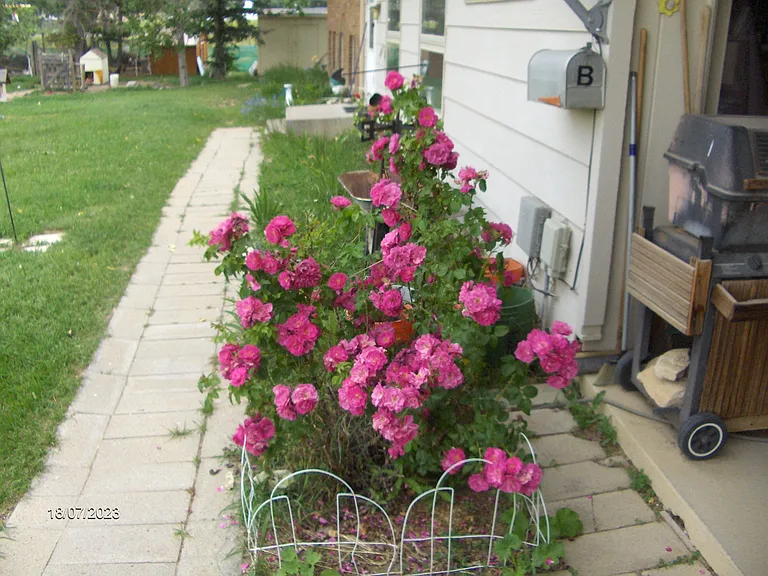 Monroe St — Photo 10