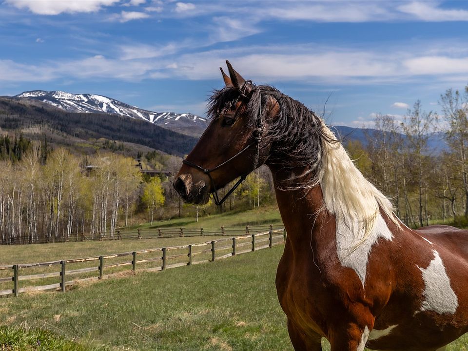 1st image of 31775 Bradley Ranch