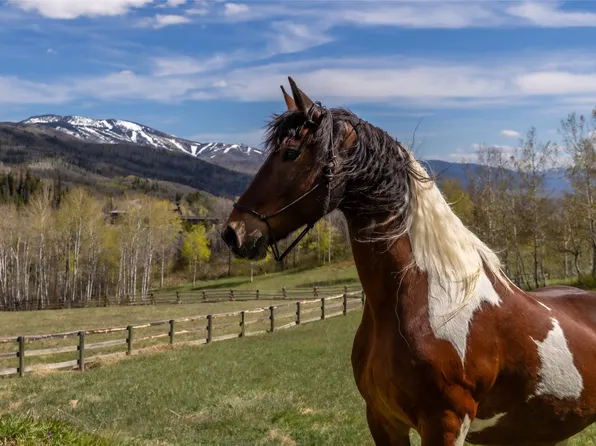 31775 Bradley Ranch, Steamboat Springs, CO 80487
