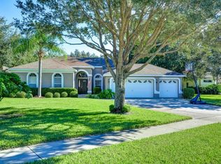 4802 Water Lark Way, Valrico, FL 33596