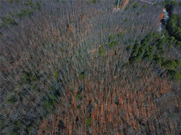 TRACT 2 Highway 107, Mountain Rest, SC 29664