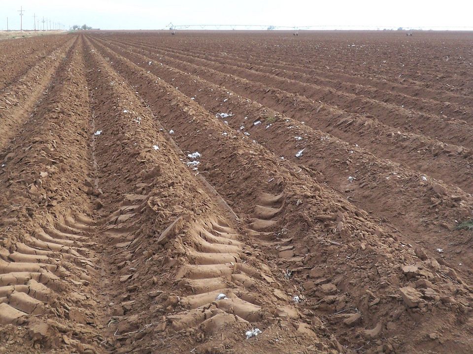 1st image of 8301 County Road 6100