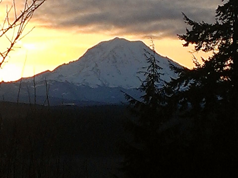 1st image of 2315 43rd St SE