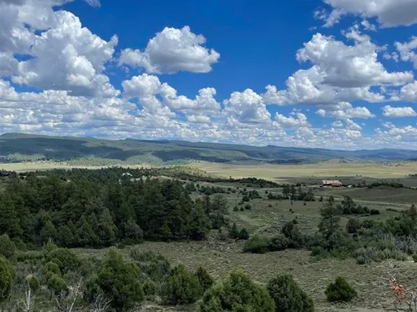 1950 Lodge Pole, Pagosa Springs, CO 81147