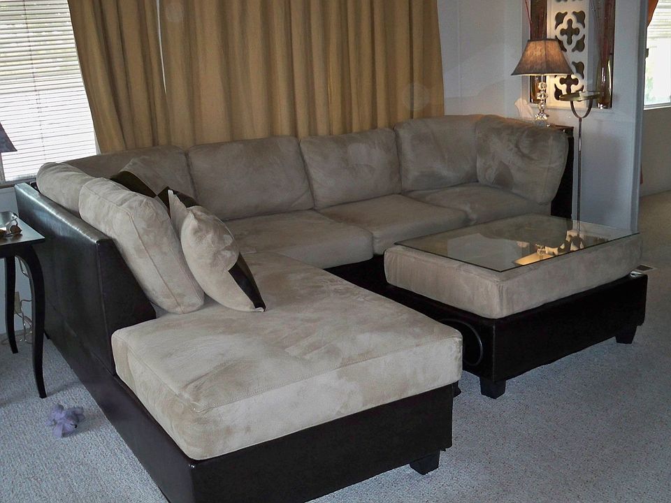 Open spacious living room with ample natural light.