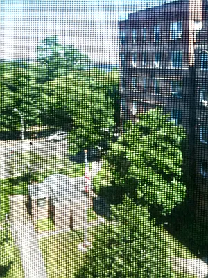 Rented by Awaye Realty Management LLC | media 3