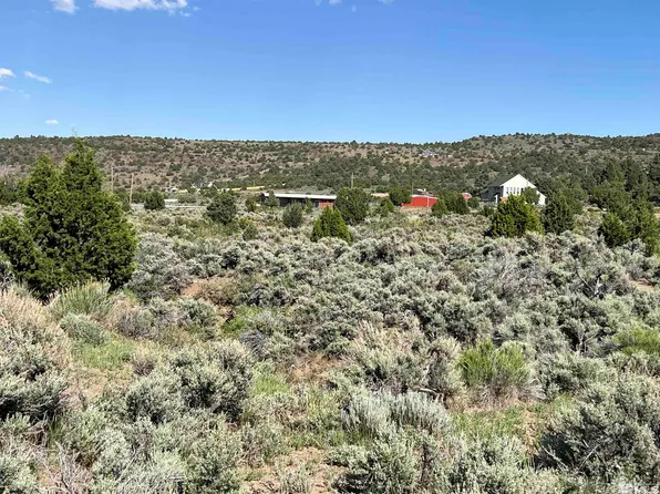 2431 Lousetown Rd, Reno, NV 89521