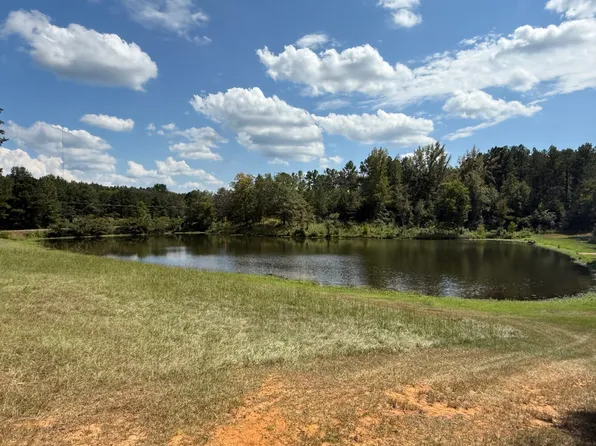 3400 Pine Grove Rd, Ethelsville, AL 35461