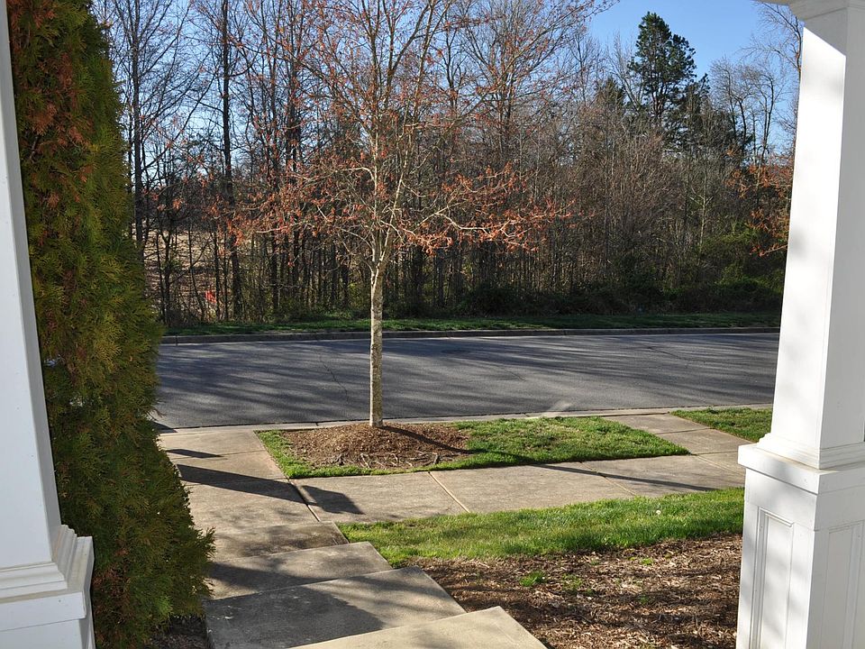 View of woods from front door