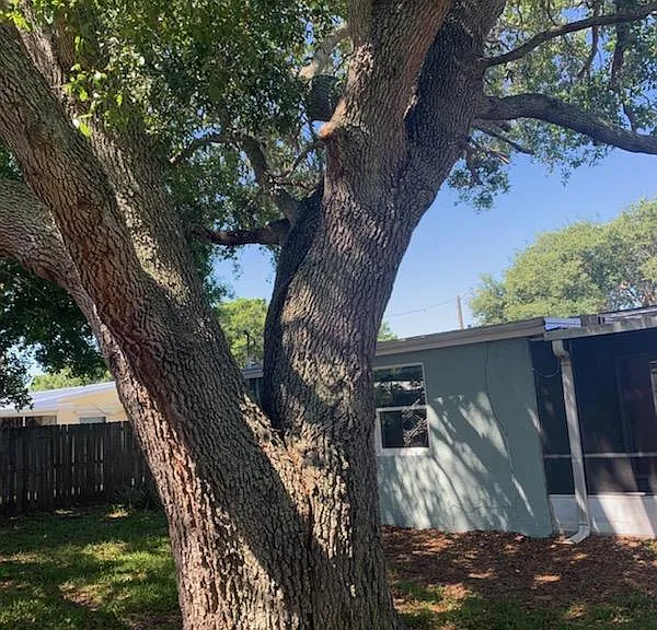 825 Clarke Ave — Photo 26