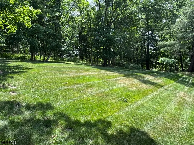 244 Butternut Dr — Photo 4