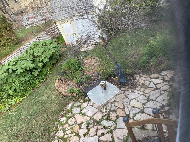 1009 Gillespie St — Photo 11