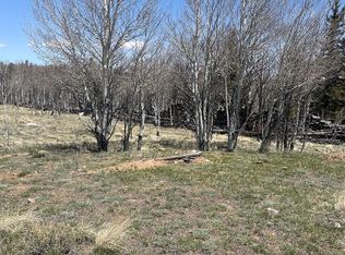 83 Pelican Pl, Pelican pl, CO 80432
