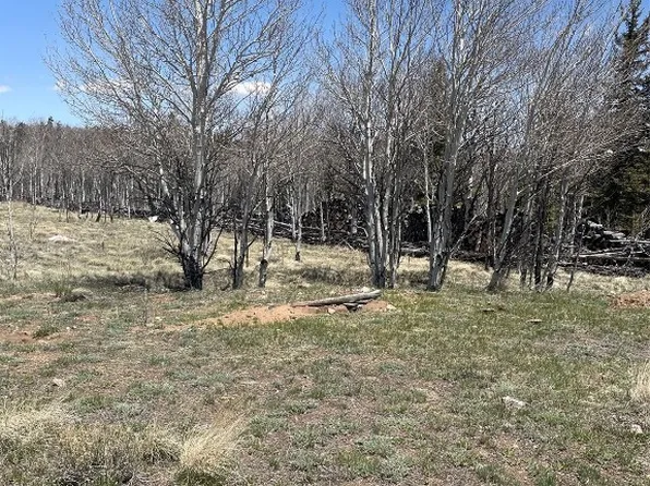 83 Pelican Place, Como, CO 80432