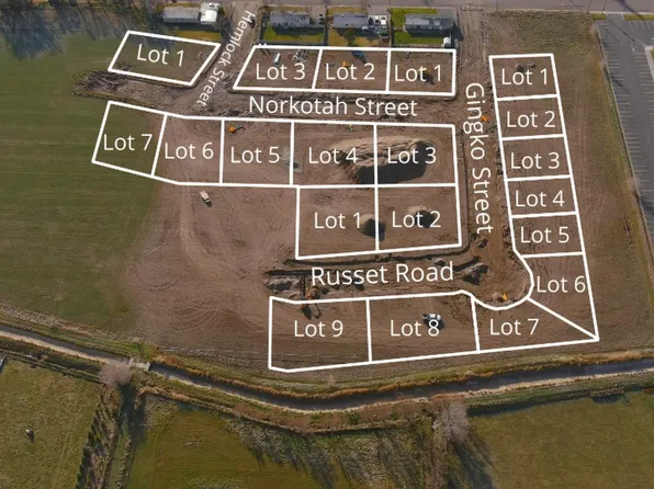 1909 Gingko St, Rupert, ID 83350