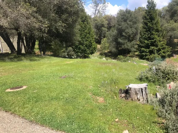 Bedford Ave, Placerville, CA 95667