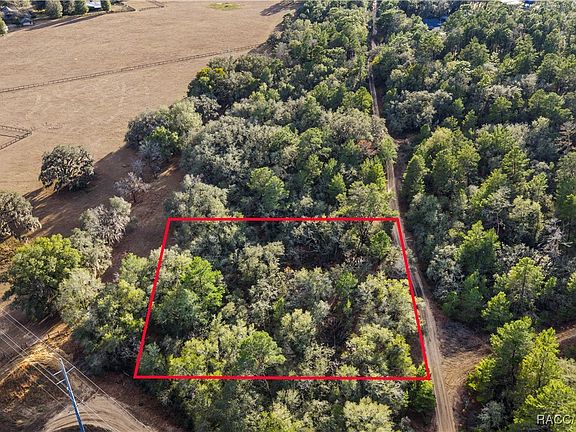 5th image of 115 S Crestview Ave