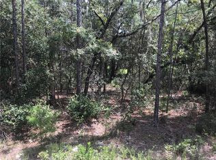 221 S Crestview Ave, Inverness, FL 34452