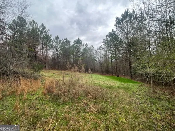 0 Julia Jordan Rd, Roberta, GA 31078