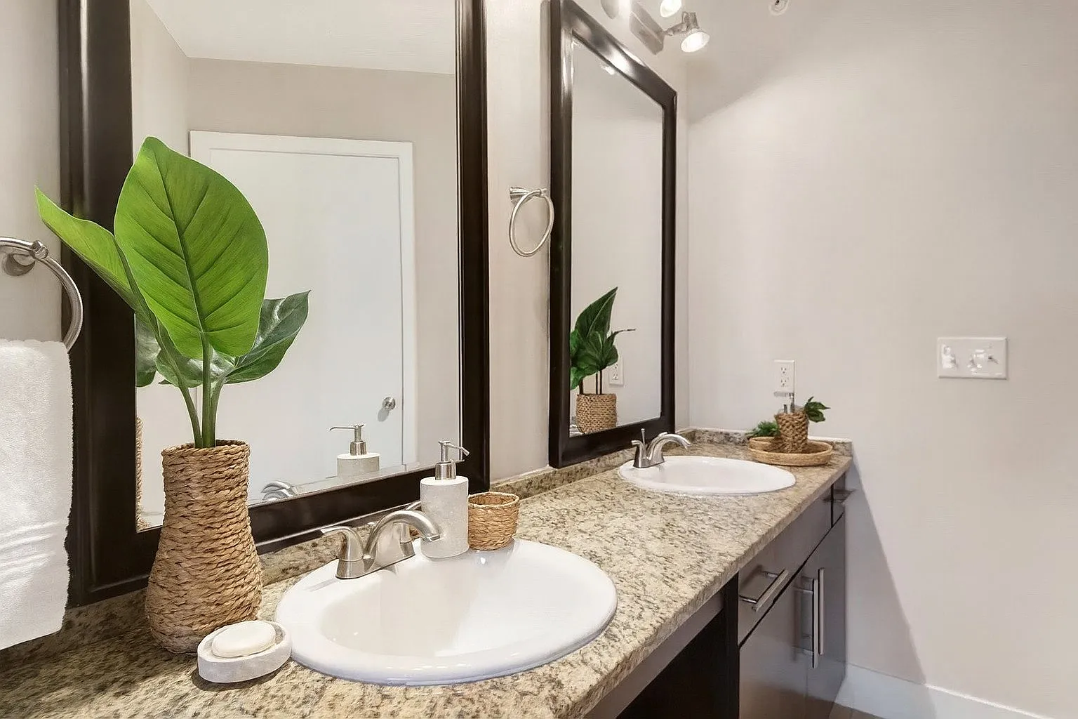 4123 Cedar Springs — Photo 4