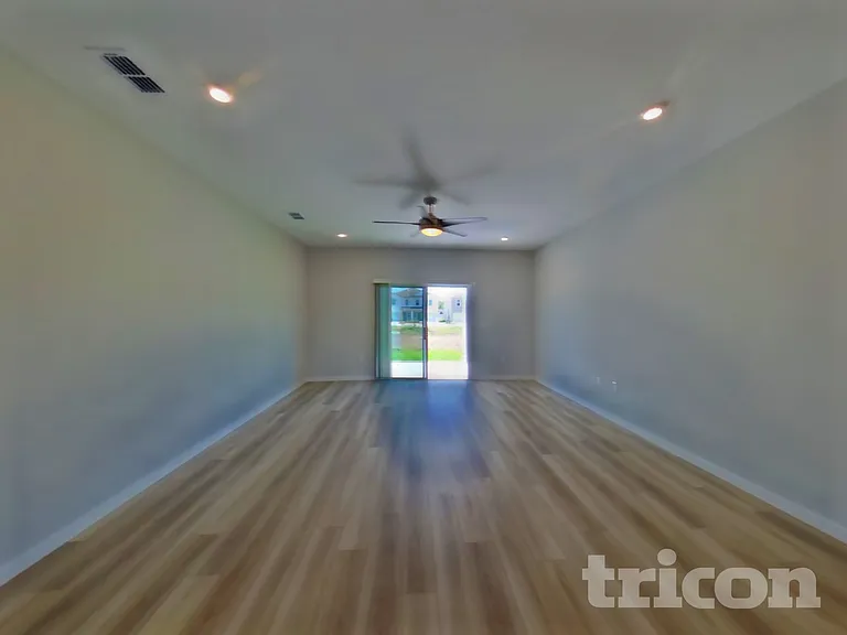 64 Brazil Nut Cir — Photo 3