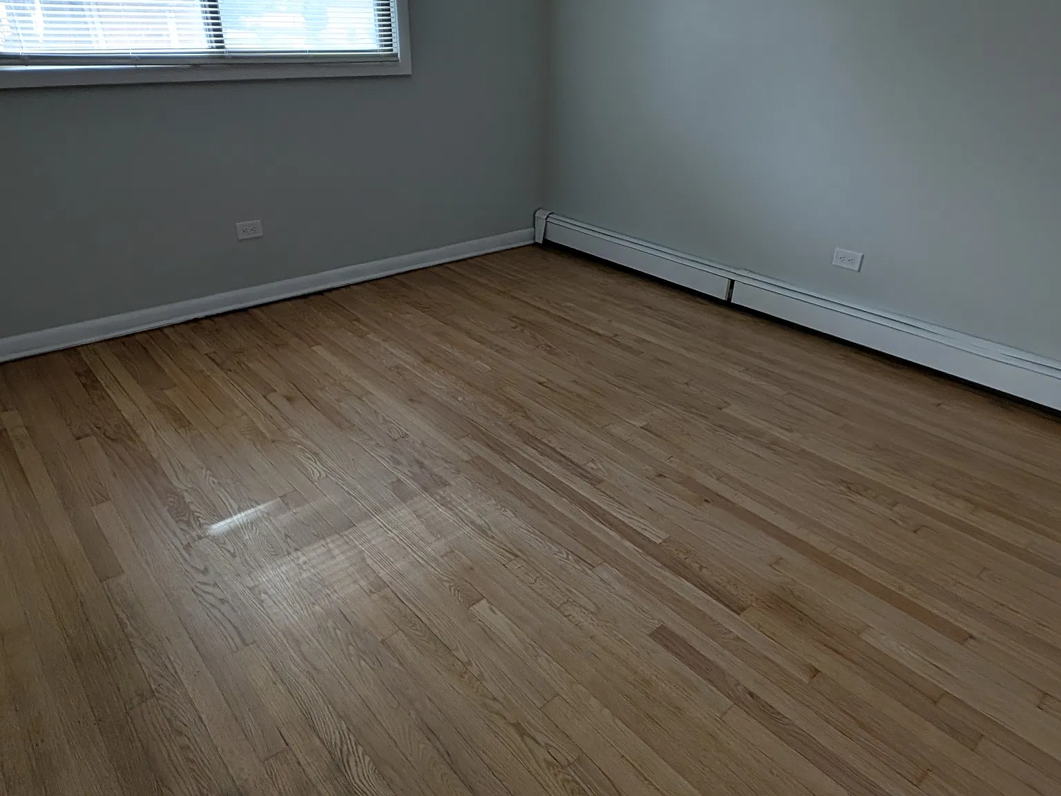1 bed, 700 sqft, $1,365 — Photo 3