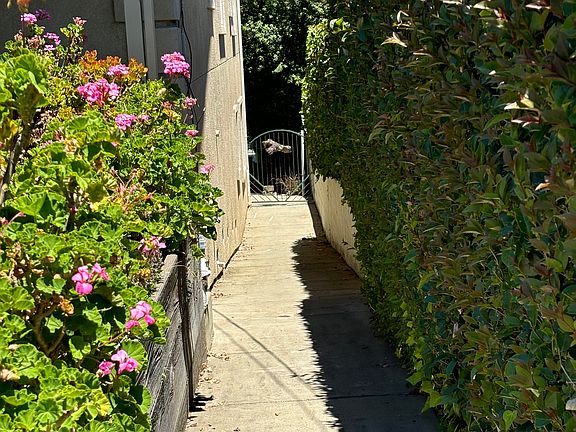 pathway down to apartment