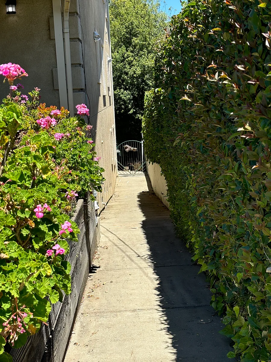 pathway down to apartment - Stanford Ave