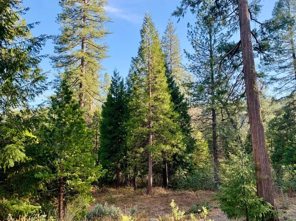 12465 New Brunswick Ct, Grass Valley, CA 95945