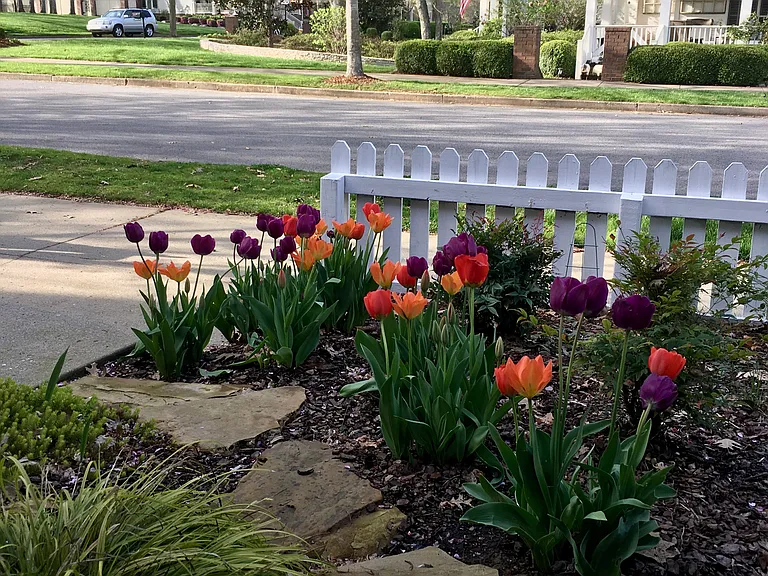 123 Morning Mist Ln #1 — Photo 26