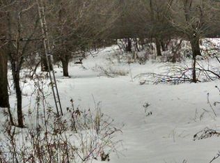 8536 Schaeffer Rd, Muir, MI 48860