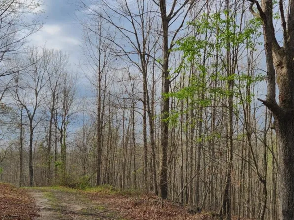 0 Kiser Br, Olive Hill, KY 41164