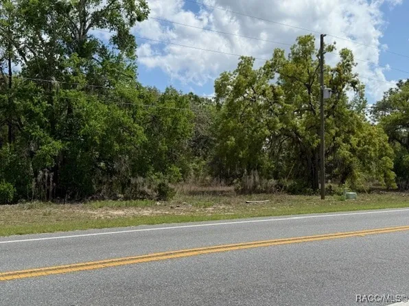 8655 S Florida Ave, Floral City, FL 34436