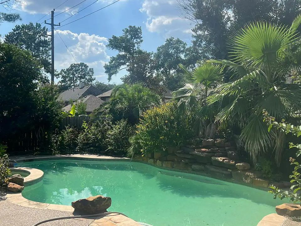 Back yard pool