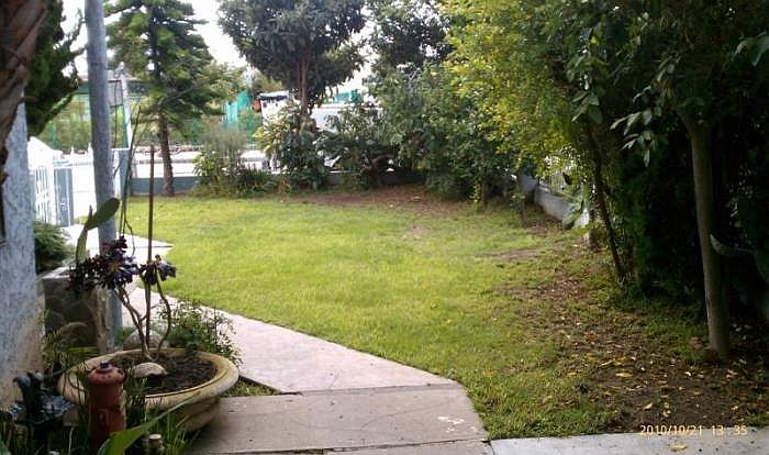 Front yard