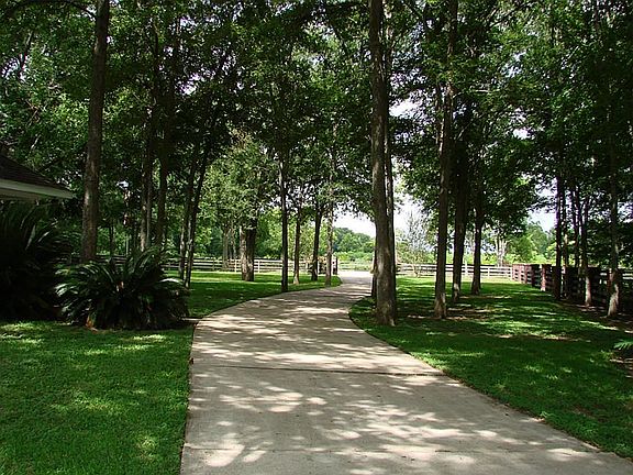 VIEW FROM THE BACK YARD