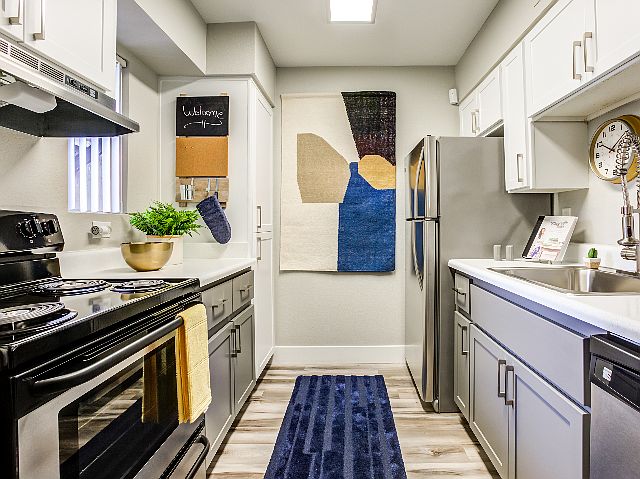 Renovated Kitchen