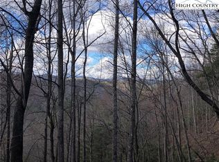 LOT-141B Hickory Hollow Rd, Purlear, NC 28665