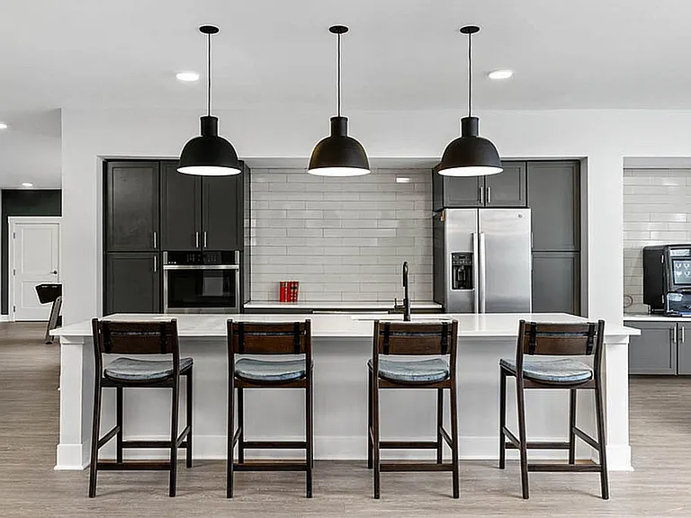 Sleek Modern Kitchen with Stainless Steel Appliances