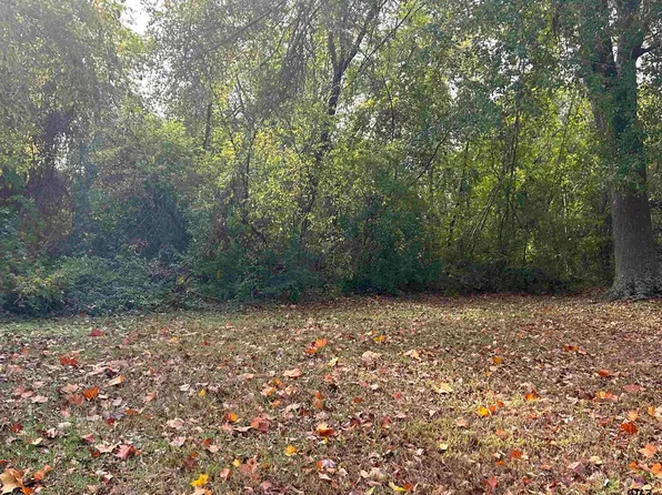 204 E Crews St, Overton, TX 75684