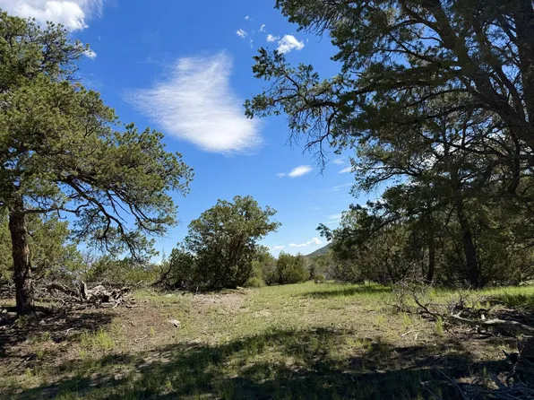 LOT 45 Log Canyon Rd, Datil, NM 87821