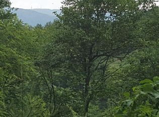 10071 Fortune Ridge Rd, Bent Mountain, VA 24059