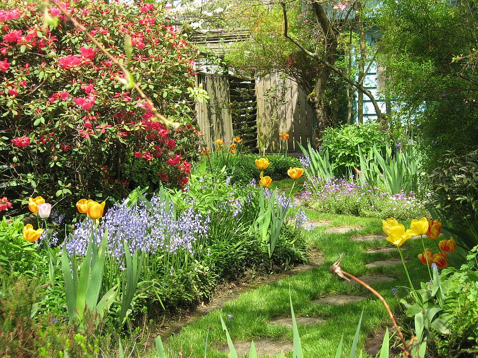 side yard