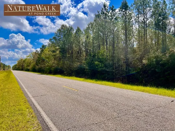 3 Naturewalk Dr, Jay, FL 32565
