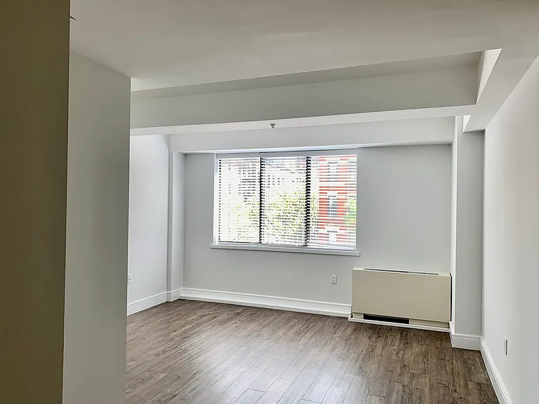 354 E 91st St #204 — Photo 3