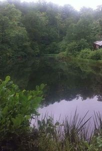 275 Stansbury Church Rd Lot 4, Turtletown, TN, 37391