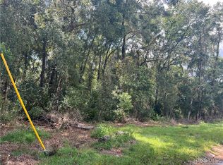 217 Hofstra St, Inverness, FL 34452