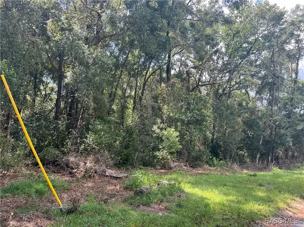 217 Hofstra St, Inverness, FL 34452