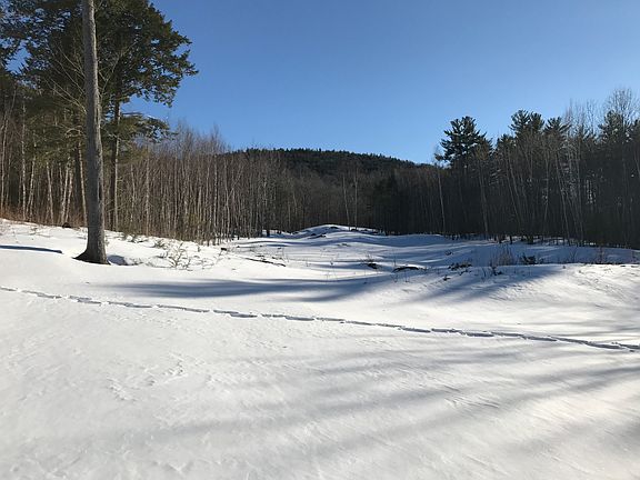 View from rear of property